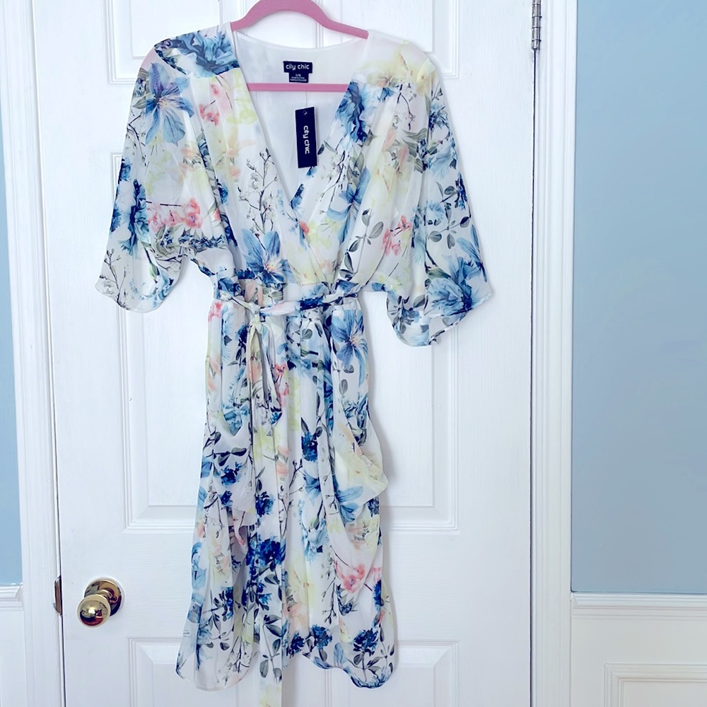 NWT Fun Flirty and Feminine Dress